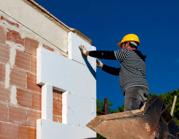 Best Cellulose Insulation in Zapata, TX