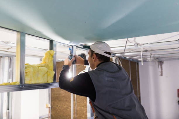 Best Insulation for Specific Applications in Zapata, TX