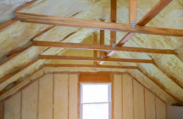 Best Blown-in Insulation in Zapata, TX