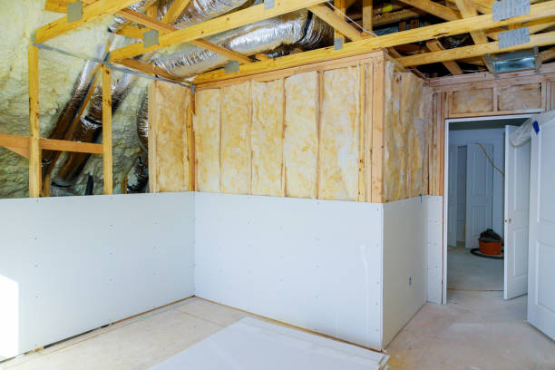 Best Specialized Insulation Services in Zapata, TX