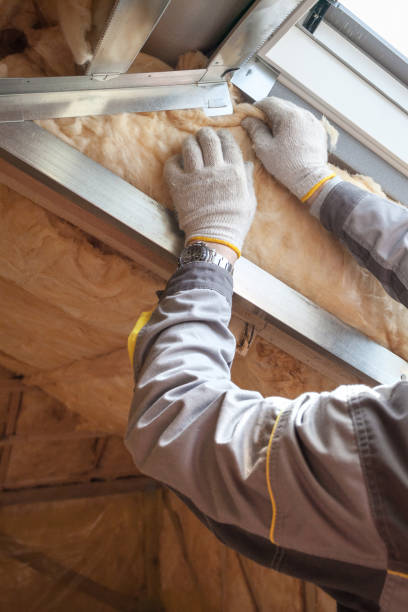 Best Spray Foam Insulation in Zapata, TX