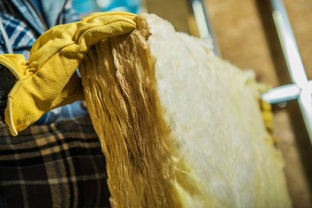 Types of Insulation We Offer in Zapata, TX