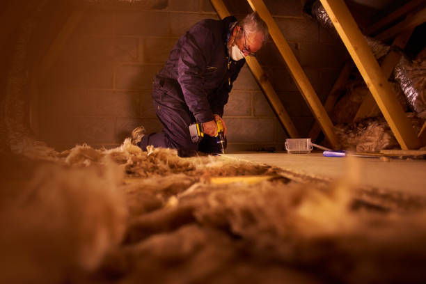 Best Geographic-Specific Insulation Services in Zapata, TX
